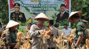 Polres Nganjuk Berkontribusi 20,56 Ton Jagung dalam Program Ketahanan Pangan