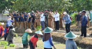 Dandim Dampingi Dirjen Tanaman Pangan Kementan Kunjungi Ponorogo, Pantau Percepatan Luas Tambah Tanam