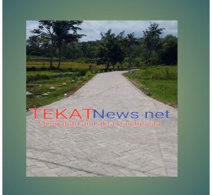 Pelaksanaan Pembangunan Jalan Paving  Desa  Tanjungsari  Tahun Anggaran 2025