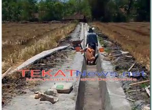 ‎Masyarakat Petani Desa Tanjungrejo Terimakasih  Adanya Program P3TGAI. ‎ ‎