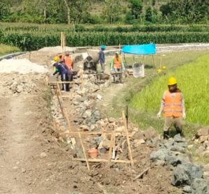 ‎Masyarakat Petani Antusias Adanya Program P3TGAI Kecamatan Bungkal