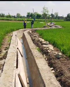 Antusias Sekali  Masyarakat Petani Desa Bringin , Adanya Program P3TGAI Di Desanya. ‎ ‎